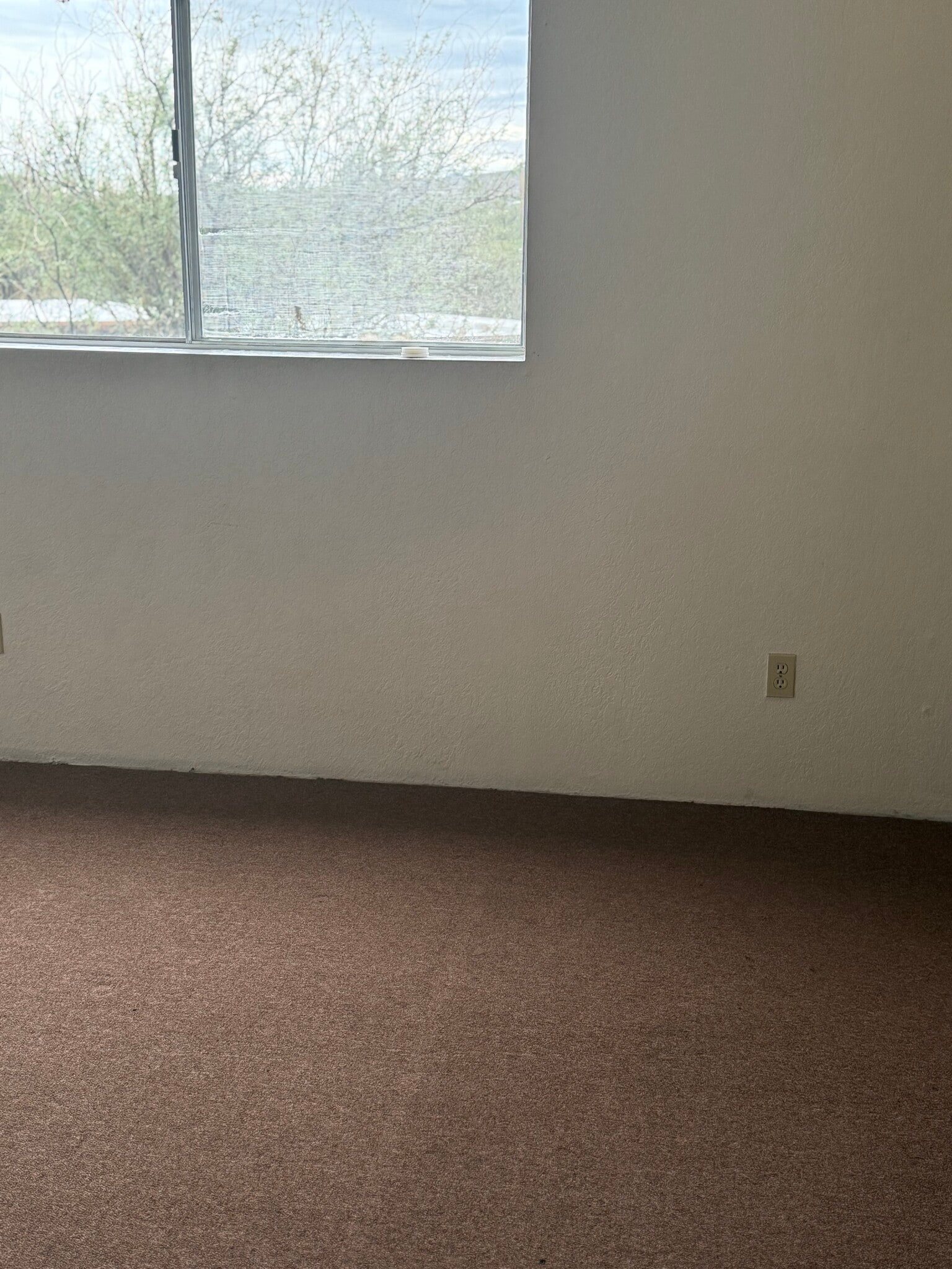 Building Photo - 433 Avenida Garza