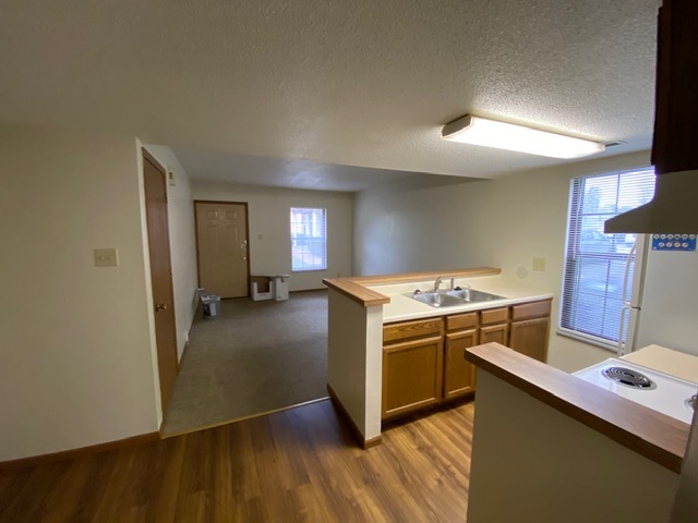 kitchen open to living room - 7340 Hampton Ave