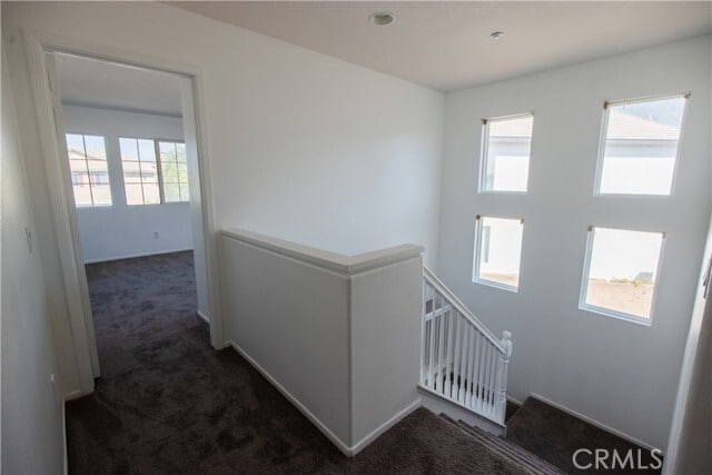 Building Photo - 5205 Archery Ct