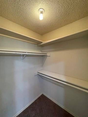 Building Photo - 922 Kingston Dr