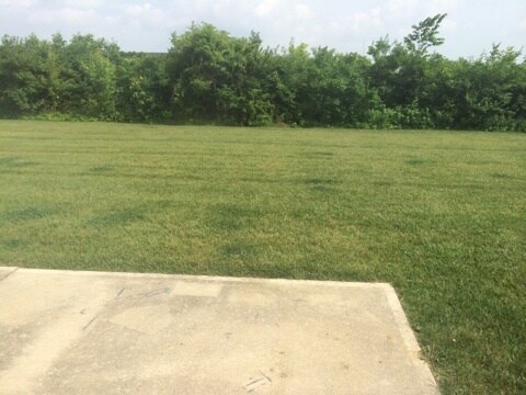 Private Patio - 2251 Shamrock Ln