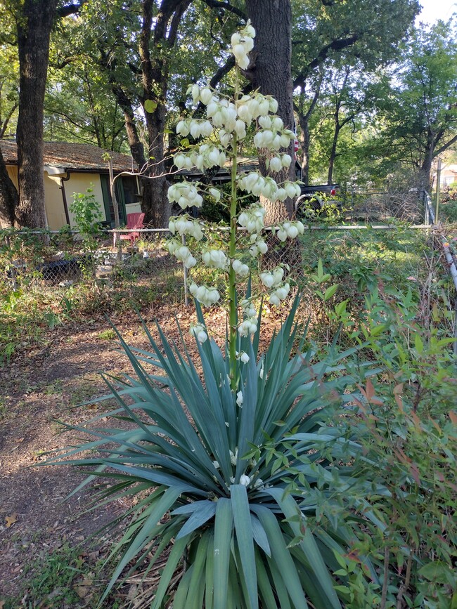 Building Photo - 9982 Torama Dr