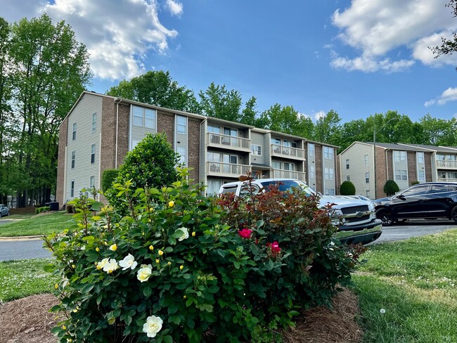 Building Photo - Spacious updated condo near UNCC.