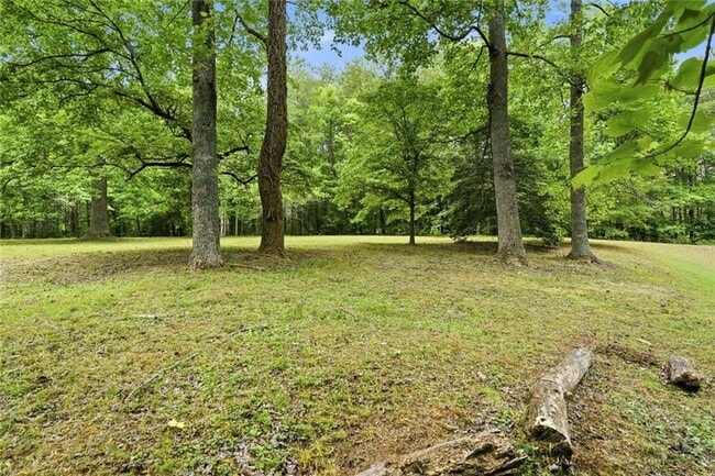 Building Photo - 285 Cline Valley Pl