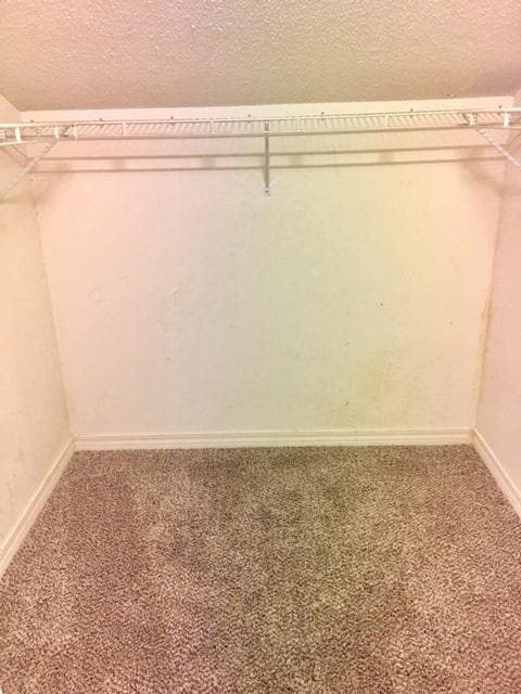 Building Photo - 1710 Brighton Cove