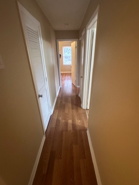 Building Photo - 713 Springfield Rd