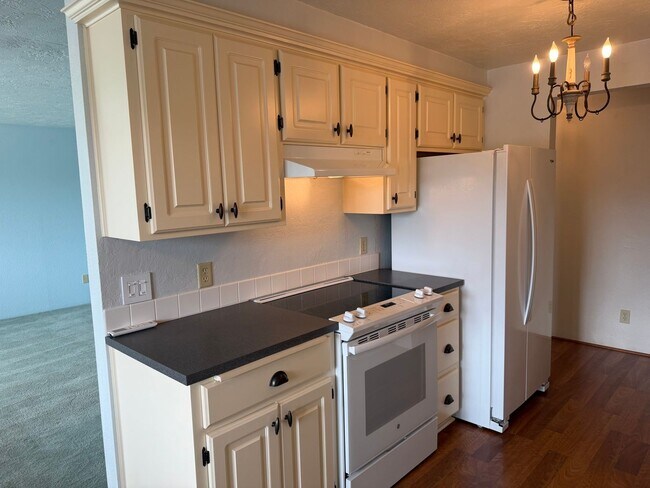 Building Photo - Updated two-bedroom one bathroom duplex in Thurston!