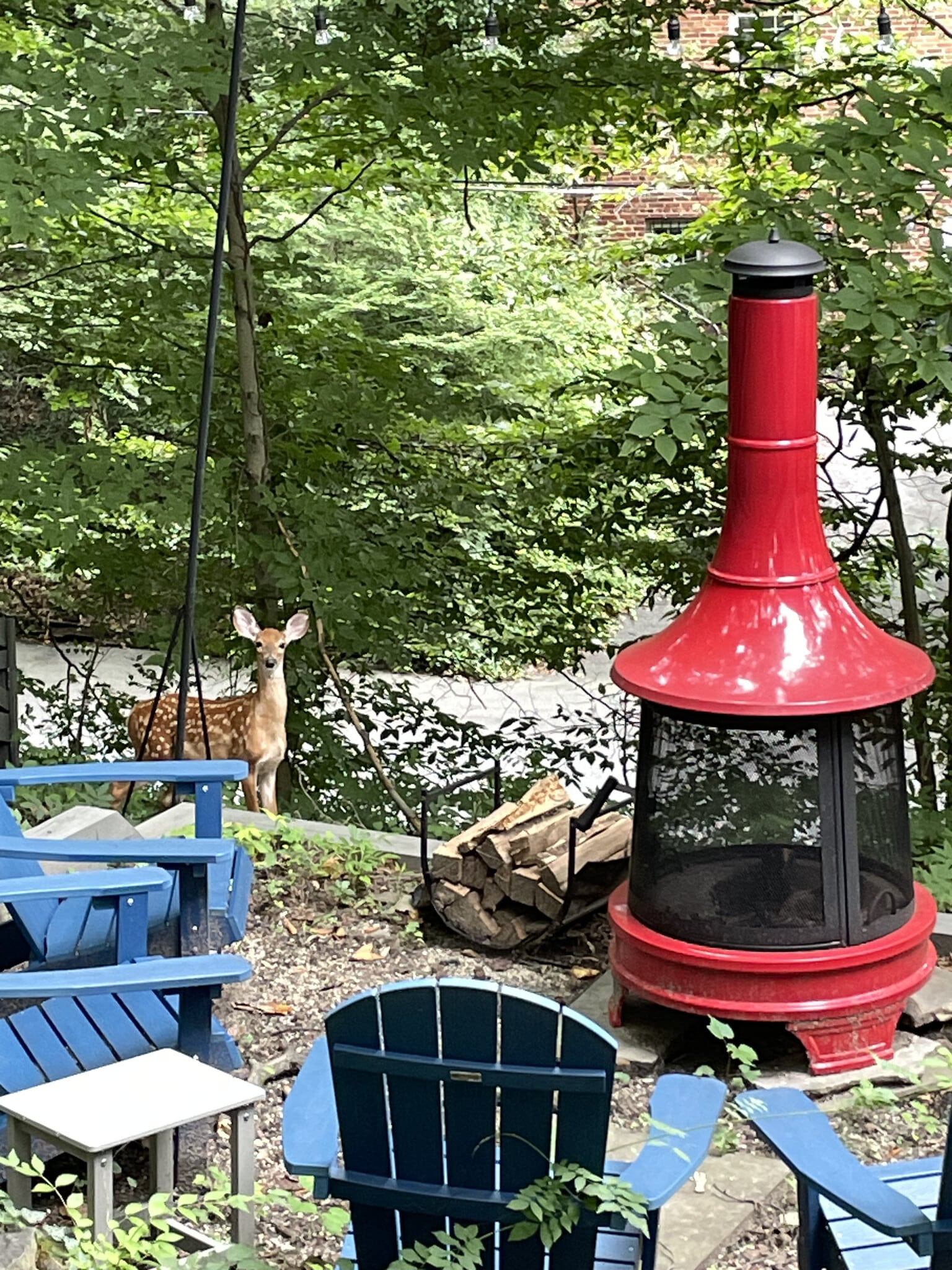 Building Photo - 2929 Stanton Ave