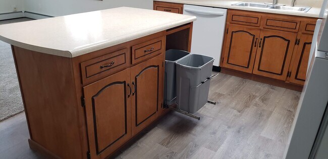 Pull-out trash and recycle bins - 2340 S Ridge Rd