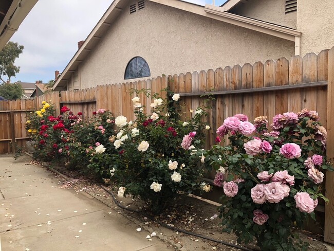 Building Photo - Beautiful East End Ventura Home