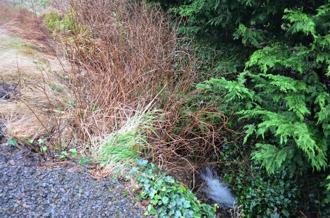 Building Photo - Spacious 3 bedroom Costal Home with Vaulted Ceilings & Soaking Tub