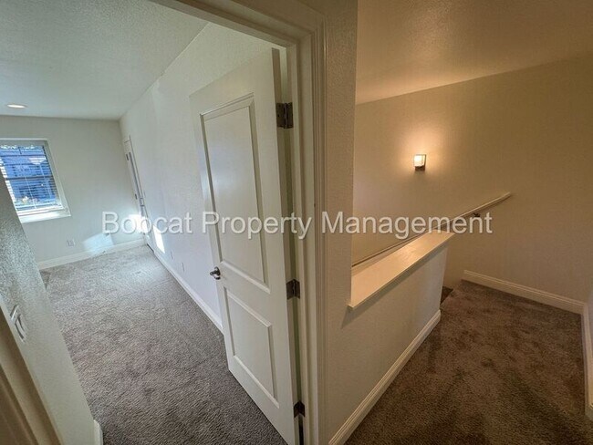 Building Photo - 1237 Correlli Ct