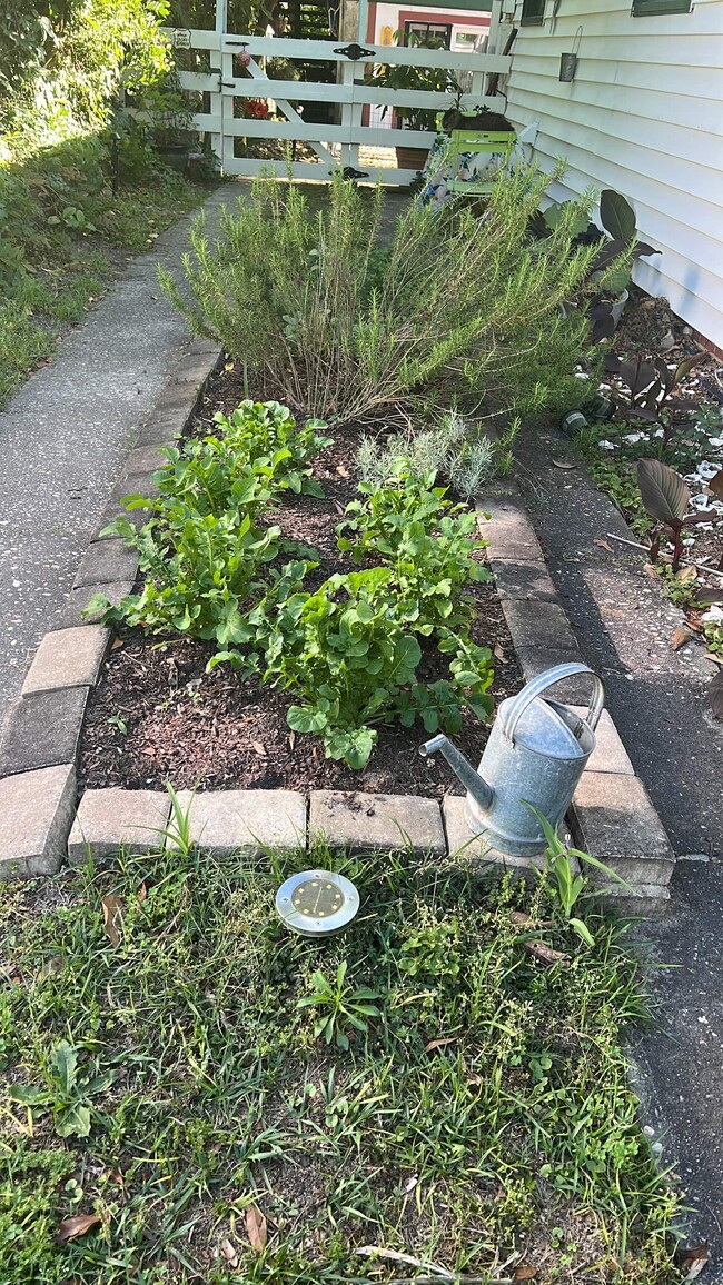 Herb and vegetable garden - 2204 Brandon Rd