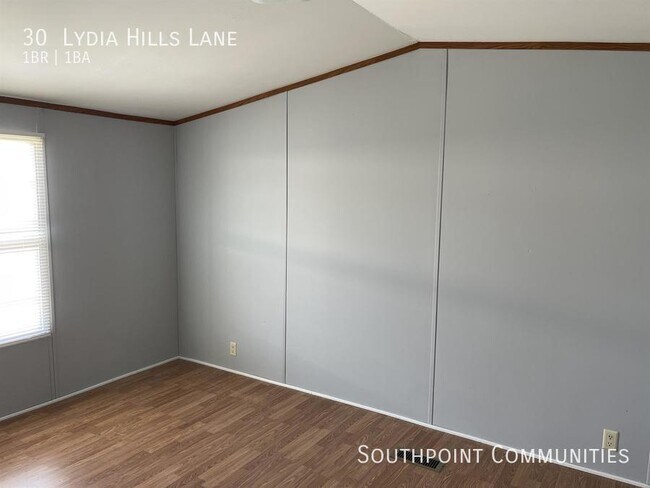 Building Photo - 30 Lydia Hills Ln