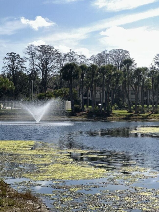 Building Photo - THE GRAND AT OLDE CARROLLWOOD