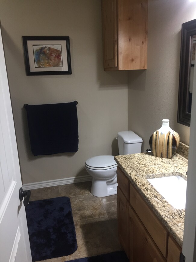 Hall bath - 500 Longhorn Dr
