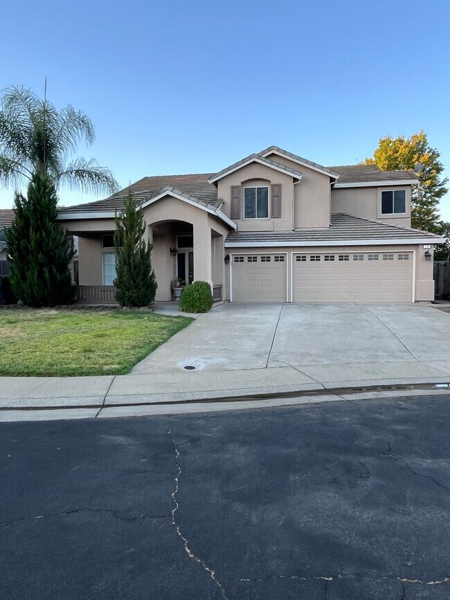 Primary Photo - 4 BEDROOM TROPICAL OASIS IN W. ROSEVILLE W...