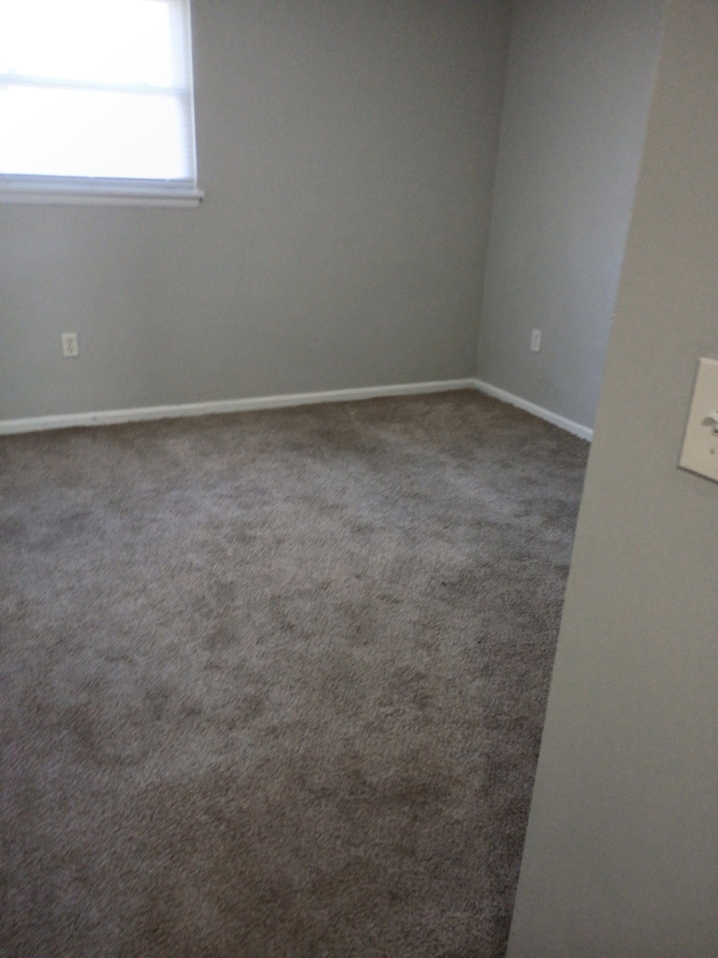 Building Photo - 4409 Norene Ln