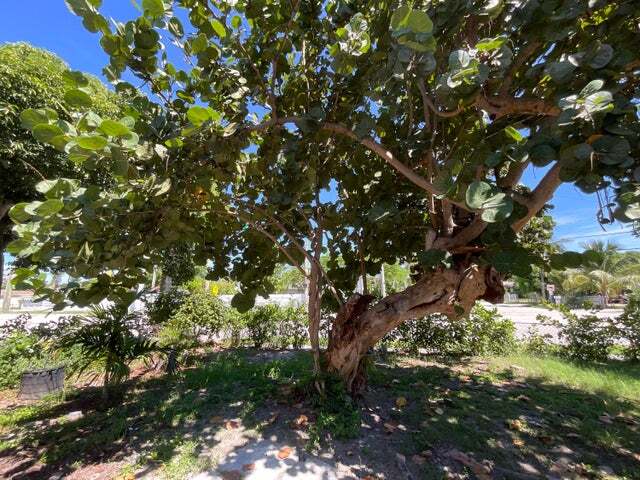 Building Photo - 700 Tallapoosa St