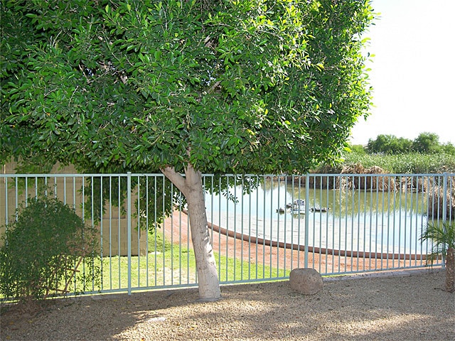 Building Photo - 10871 W Alvarado Rd