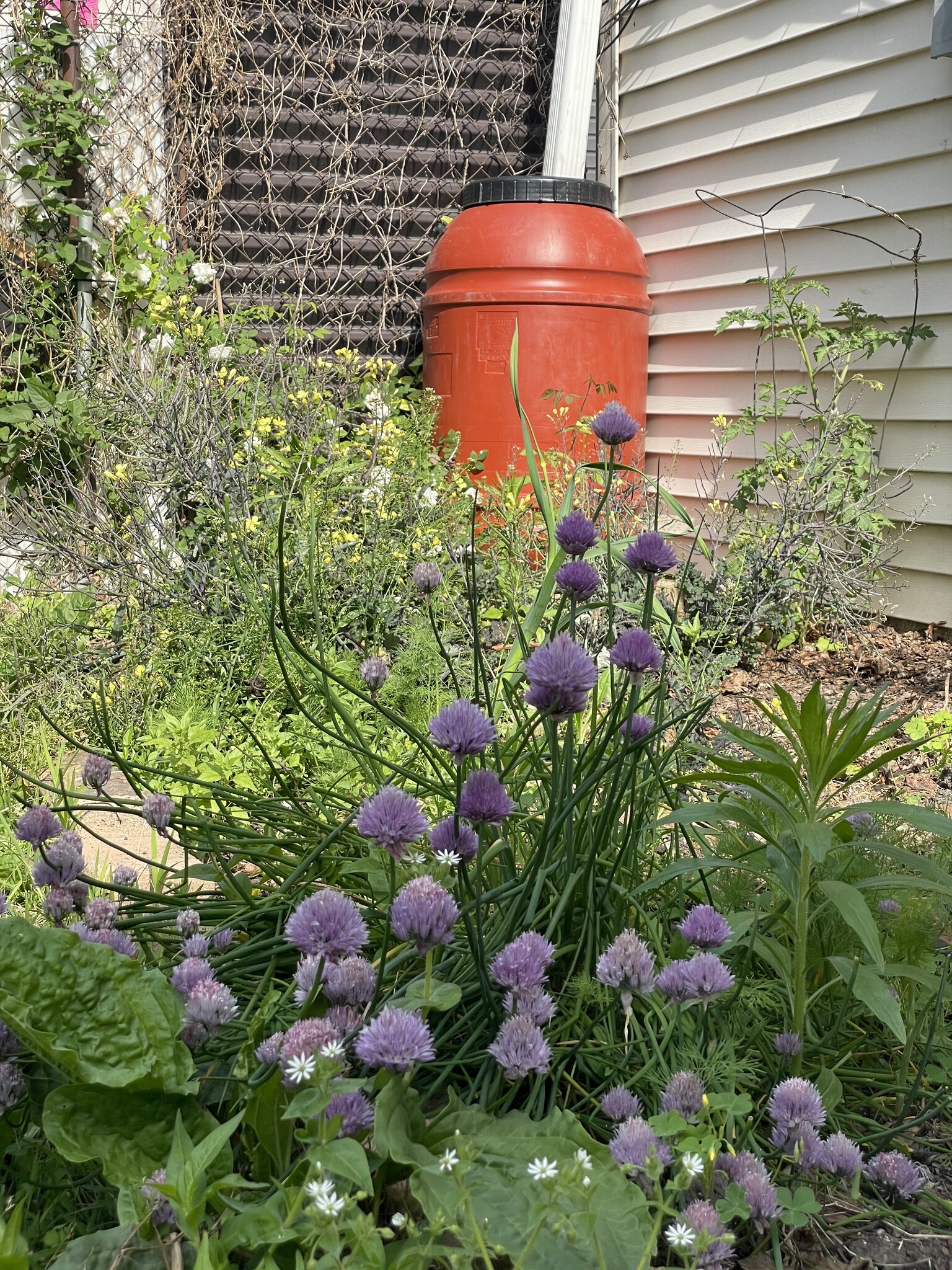 Garden - 939 W 34th St