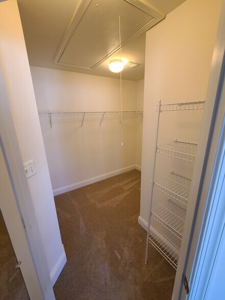Master Walk-in Closet - 25807 Turlough Ter