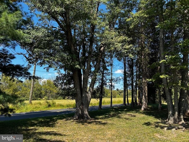 Building Photo - 1239 Salford St