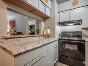 Remington Ranch - Kitchen