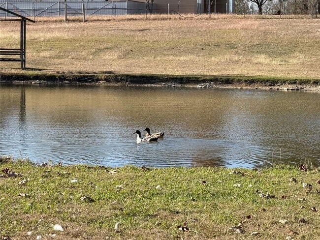 Building Photo - 2035 Borchert Loop