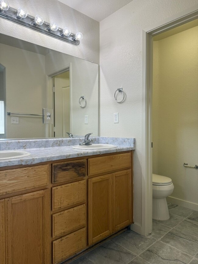 Building Photo - Available Now!!! With fresh paint and new ...