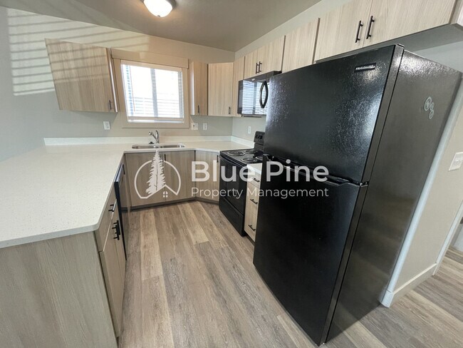 Building Photo - 3570 Colt Cir