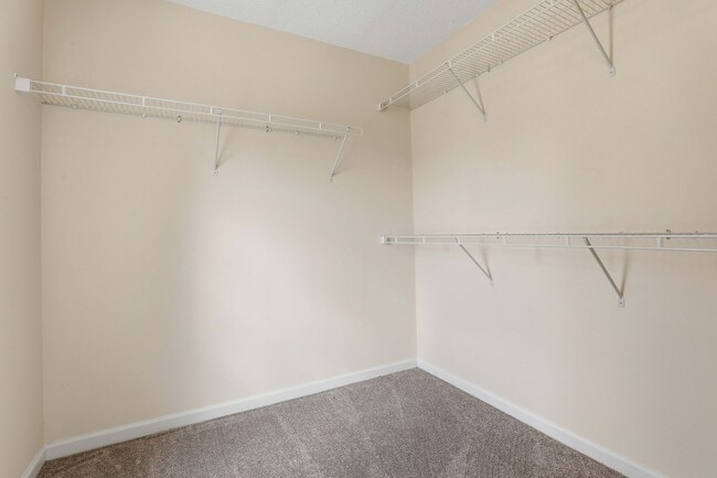 Building Photo - Updated 4BR Home in Timberlane with Fenced Yard and Stone Patio