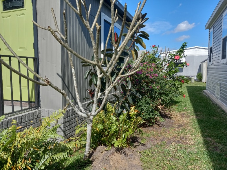 Building Photo - 4163 74th St N