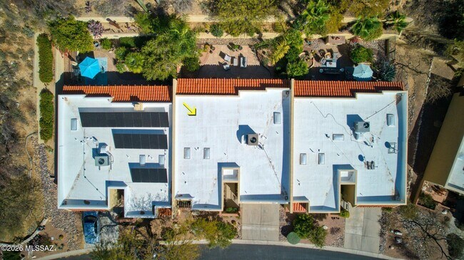 Building Photo - 1223 Cam Diestro