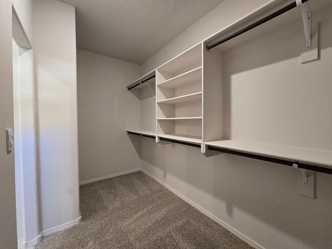 Building Photo - 3941 Soledad