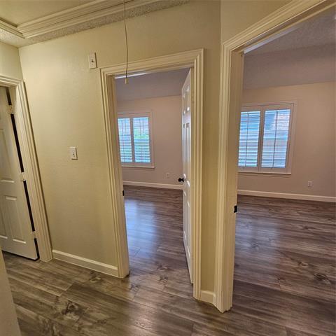 Building Photo - 2817 Oleander Dr
