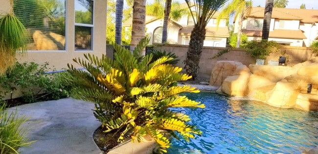 Building Photo - Solar/Pool/Spa/Water fall BBQ outdoor Pizz...