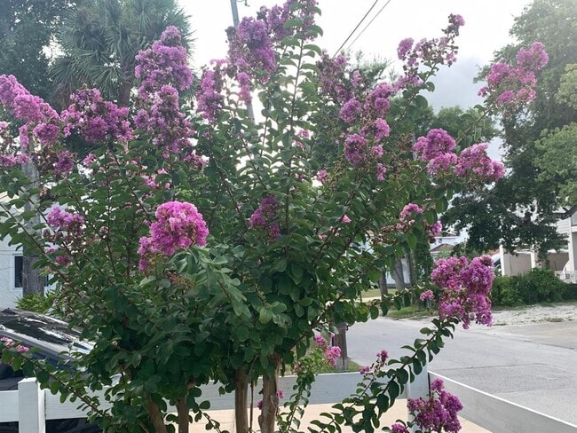 Building Photo - 244 Lexington Dr