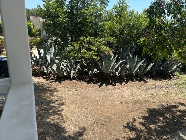 Building Photo - Newly renovated 2 bedroom 2 bathroom in a great location