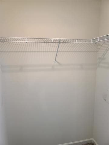 Building Photo - 104 Lady Bird Ct