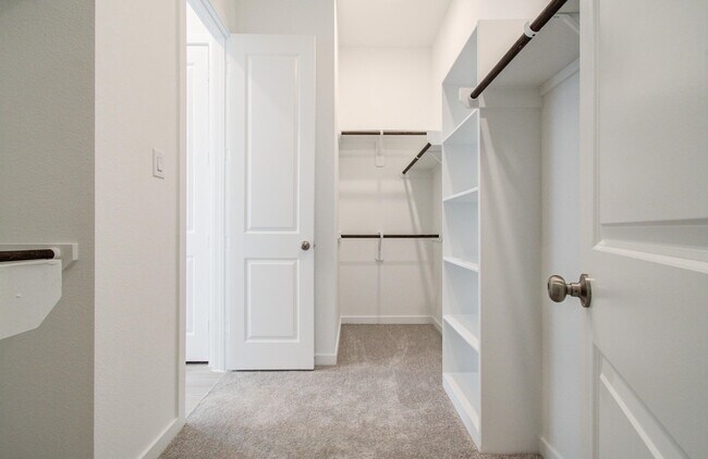 Building Photo - 11122 Swamp Edge Ln