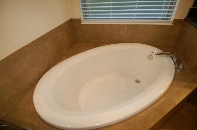 Building Photo - 558 Amber Creek Dr