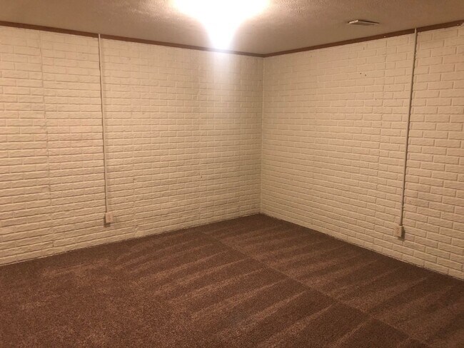 basement living room - 224 Crossing Dr