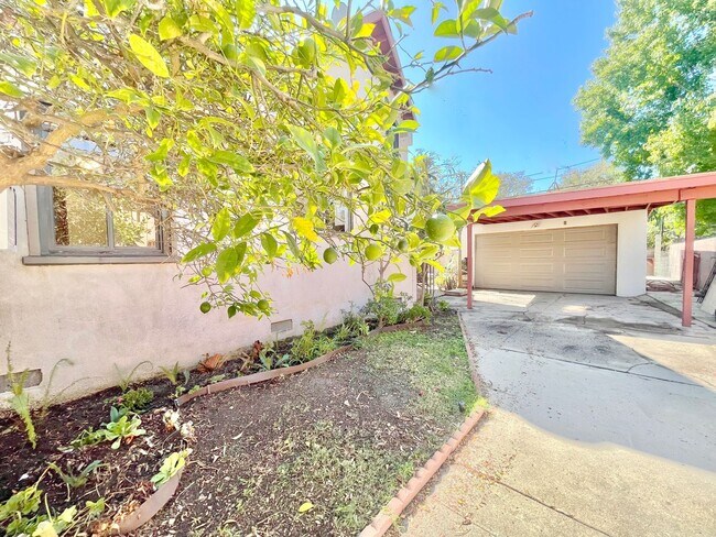 Building Photo - Newly remodeled two story 3 Bed + 2 Bath House + Office + Loft & large backyard