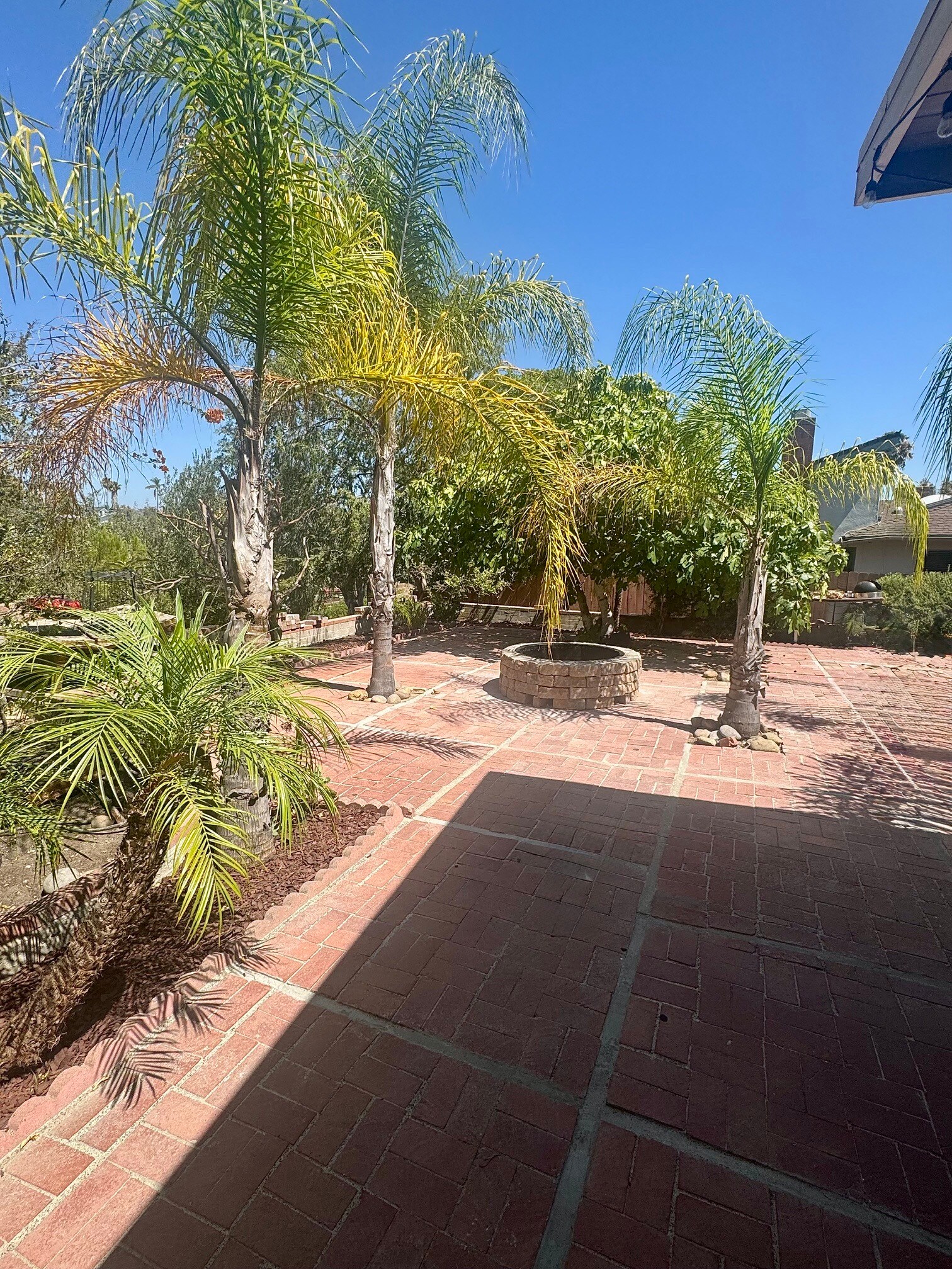 Building Photo - 5027 Campanile Dr