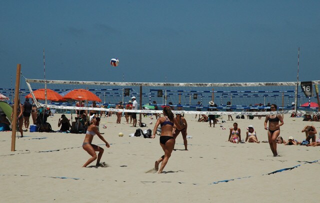 Join a game of Volley Ball - 2411 Prospect Ave