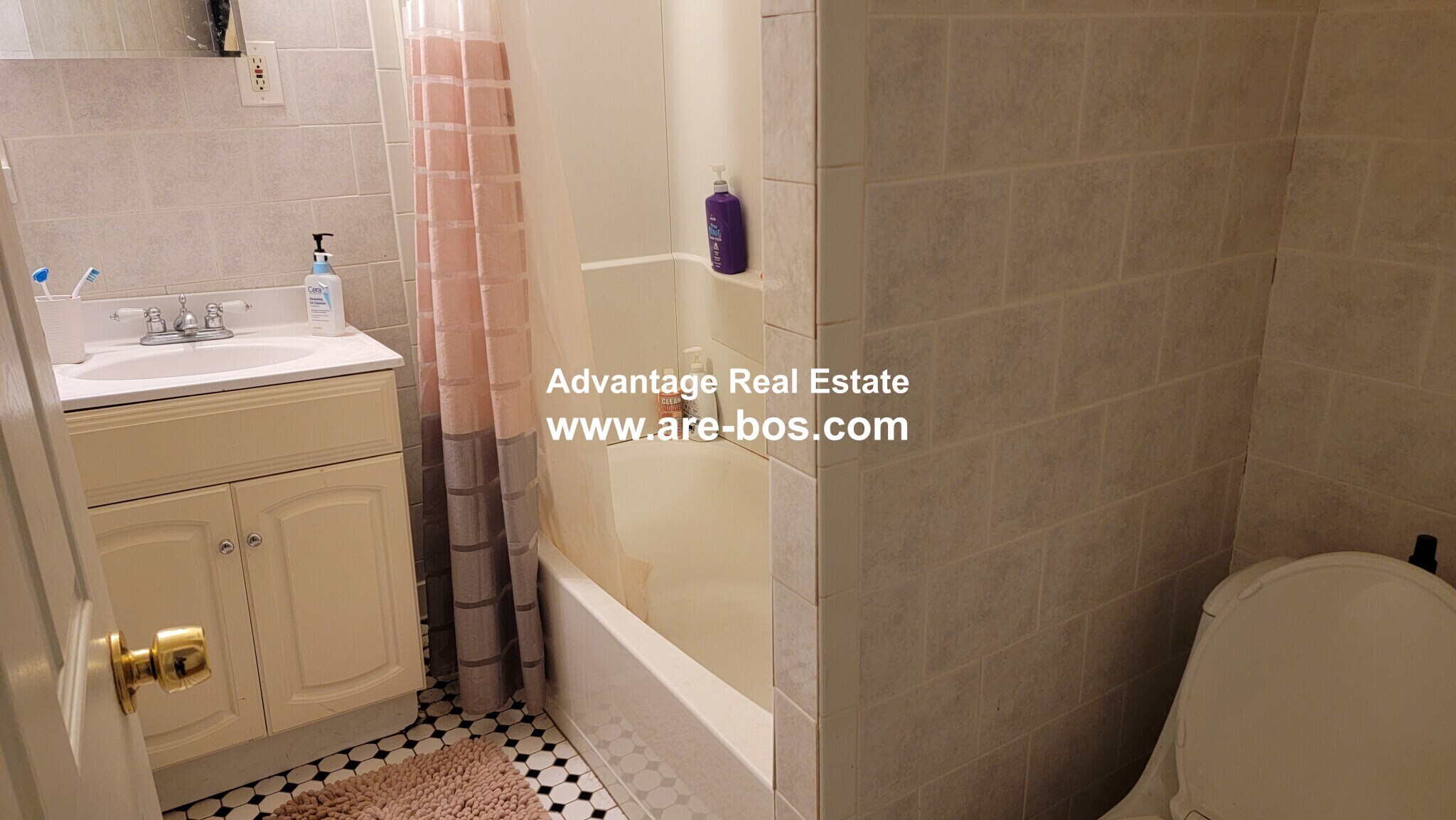 Building Photo - 66 Egmont St