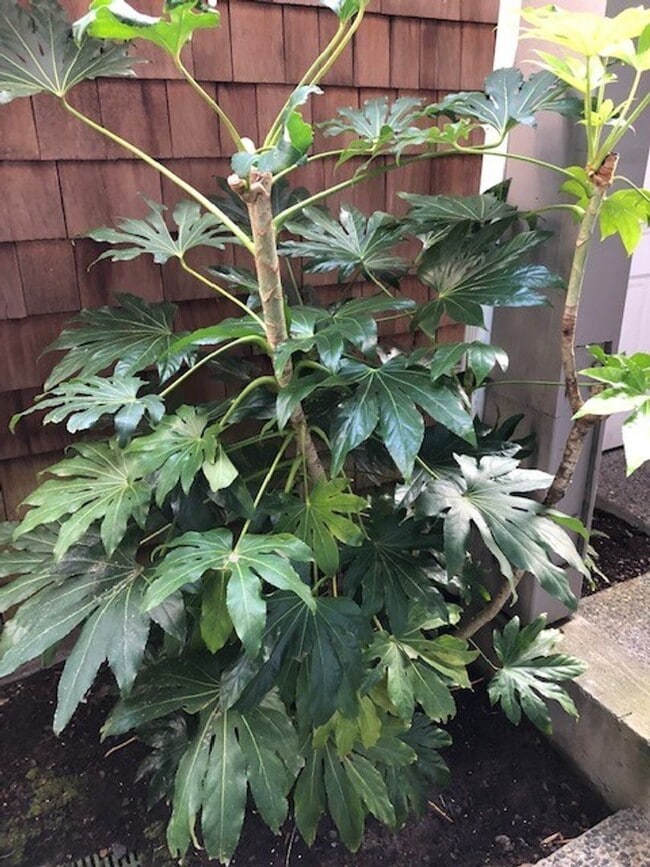 Building Photo - Riverfront Sandpiper Village Condo 2 Bedroom, 2 Baths!!