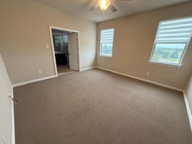 Building Photo - 1331 Bailey Ln