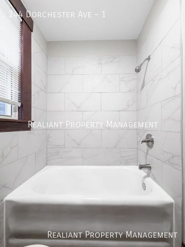 Building Photo - 244 Dorchester Ave